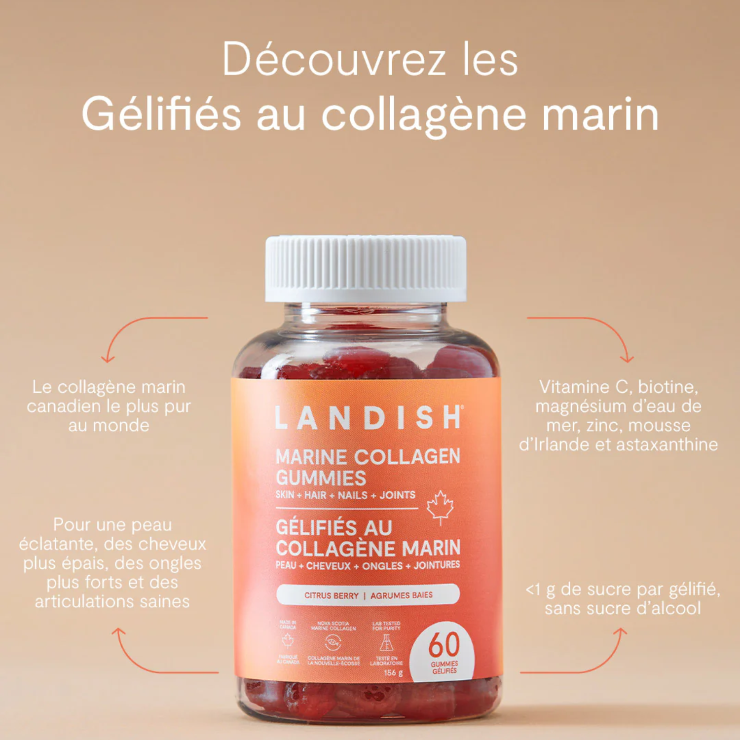 Gélifiés au collagène marin