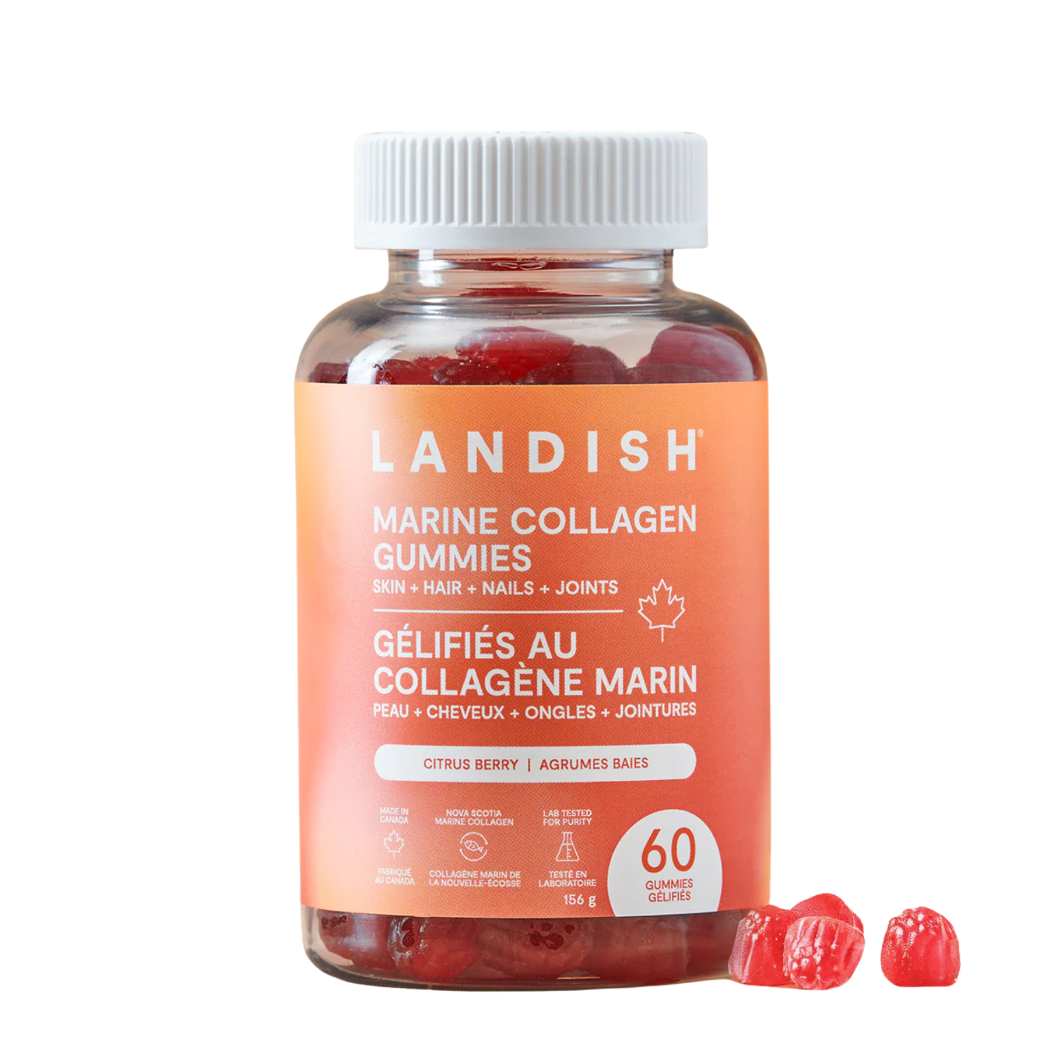 Gélifiés au collagène marin